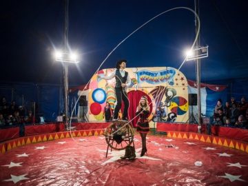 2017-deni-ute-muster-around-the-grounds-entertainment28 2017-deni-ute-muster-around-the-grounds-entertainment28