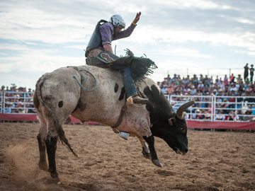 Deni-Ute-Muster-2017-Bull-Ride Deni-Ute-Muster-2017-Bull-Ride