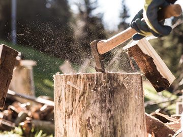 Deni-Ute-Muster-2017-Wood-Chop Deni-Ute-Muster-2017-Wood-Chop