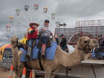 Peter Hodge Camel Rides