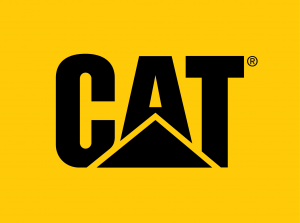 Cat Flag