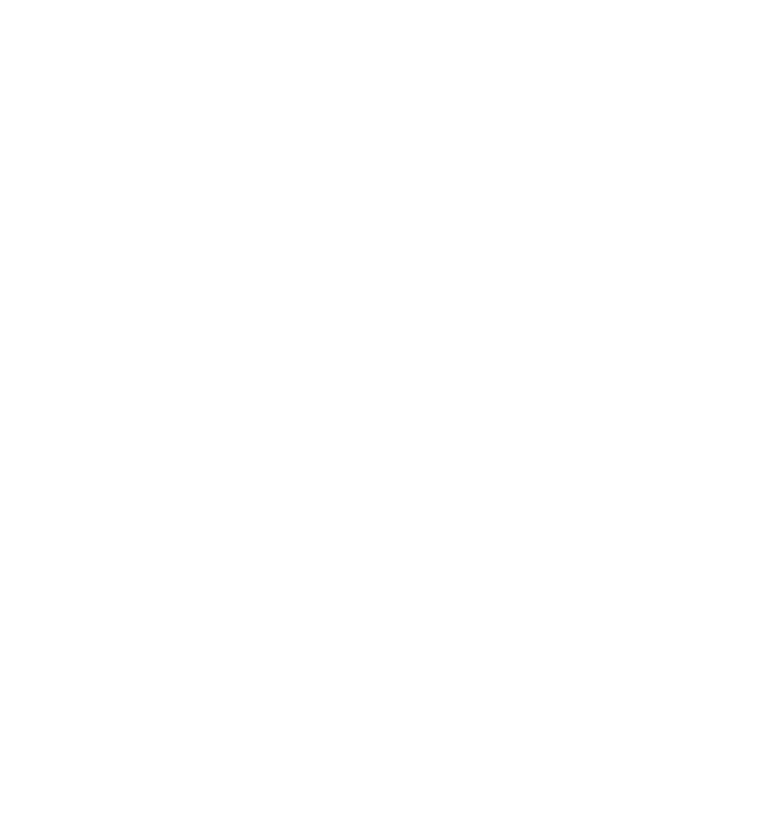 Nswgov Logo Cmyk Primary White