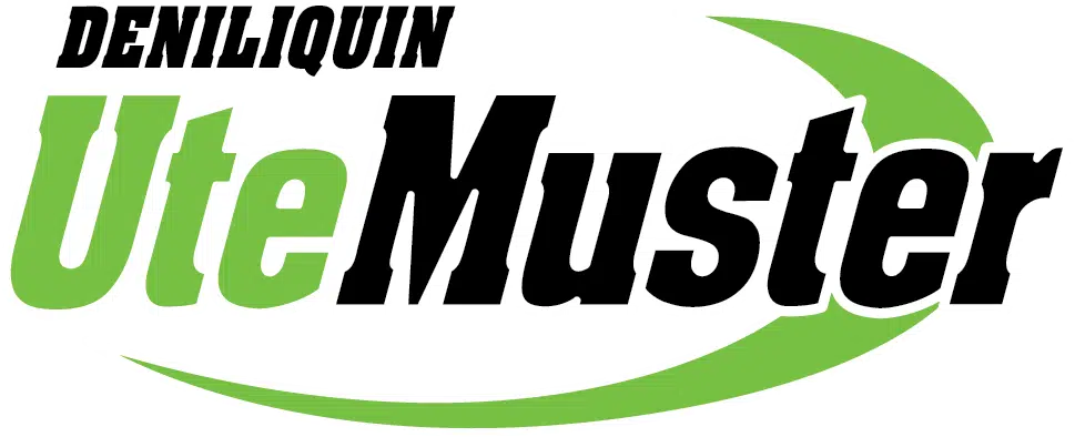 Deni Ute Muster